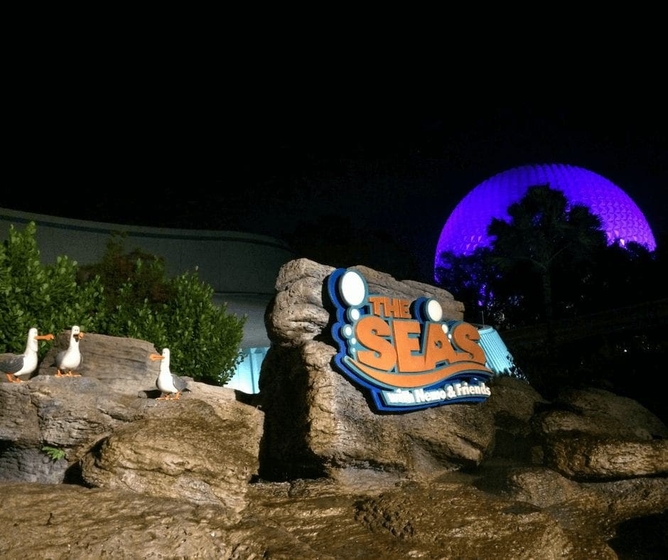 Seas with Nemo and Friends. Vivacious Views.