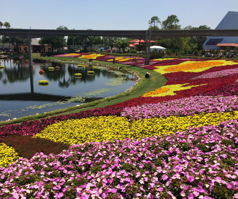 Spring at Disney World. Vivacious Views. Blog