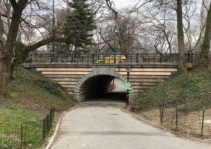 Central Park Faves. Arch(1). Vivacious Views Central Park Faves. Arch(1). Vivacious Views