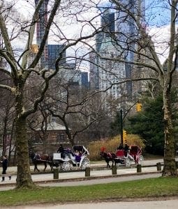 Central Park Faves. Carriage Ride(1). Vivacious Views Central Park Faves. Carriage Ride(1). Vivacious Views