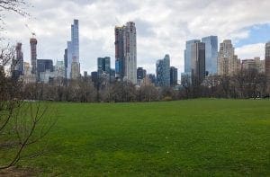 Central Park Faves. Sheeps Meadow. Vivacious Views