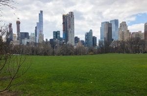 Central Park Faves. Sheeps Meadow. Vivacious Views Central Park Faves. Sheeps Meadow. Vivacious Views