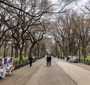 Central Park Faves. The Mall. Vivacious Views Central Park Faves. The Mall. Vivacious Views