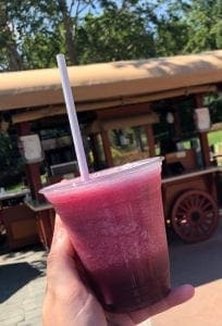 2019 Epcot Flower and Garden Festival 2019 Epcot Flower and Garden Festival. Blueberry Banjo Frosty. Vivacious Views