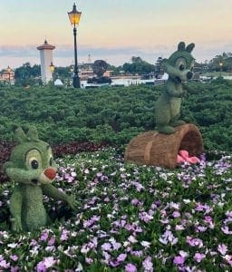 2019 Epcot Flower and Garden Festival. Chip and Dale. Vivacious Views 2019 Epcot Flower and Garden Festival. Chip and Dale. Vivacious Views