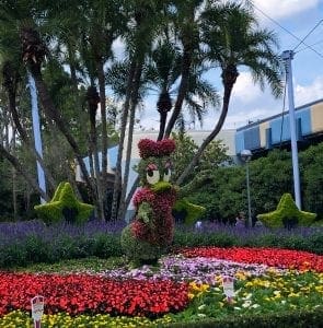 2019 Epcot Flower and Garden Festival 2019 Epcot Flower and Garden Festival. Daisy. Vivacious Views