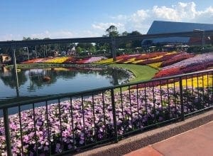 2019 Epcot Flower and Garden Festival. Floating Garden. Vivacious Views 2019 Epcot Flower and Garden Festival. Floating Garden. Vivacious Views