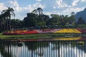 2019 Epcot Flower and Garden Festival. Garden. Vivacious Views