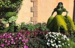 2019 Epcot Flower and Garden Festival. Snow White. Vivacious Views 2019 Epcot Flower and Garden Festival. Snow White. Vivacious Views