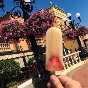 2019 Epcot Flower and Garden Festival. Strawberry Wine Popsicles. Vivacious Views