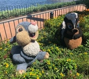 2019 Epcot Flower and Garden Festival. Thumper. Vivacious Views 2019 Epcot Flower and Garden Festival. Thumper. Vivacious Views