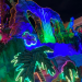 Mardi Gras Universal Studios